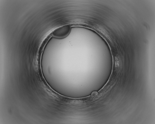 X0000113261068200909241518