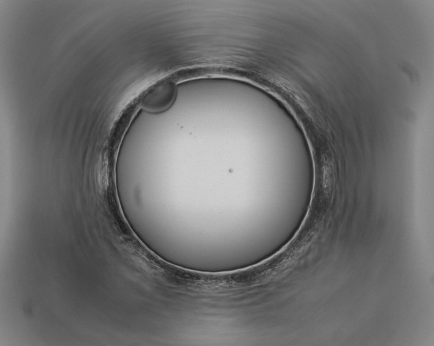 X0000113261069200909241518