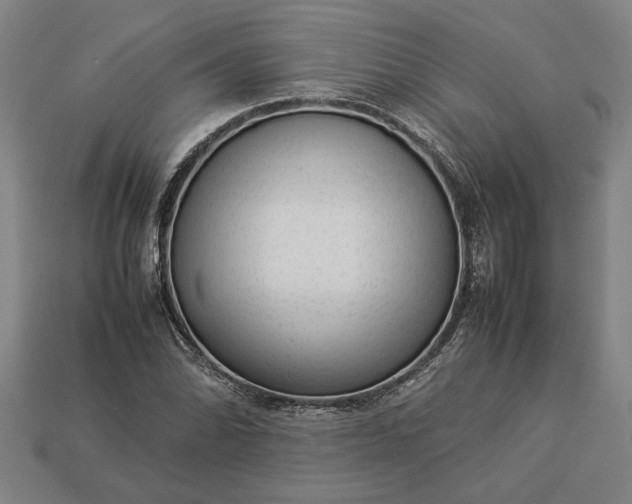 X0000113261070200909241518