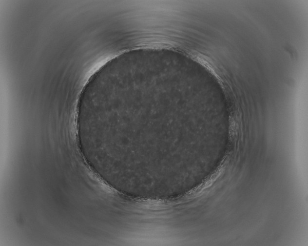 X0000113261071200909241518