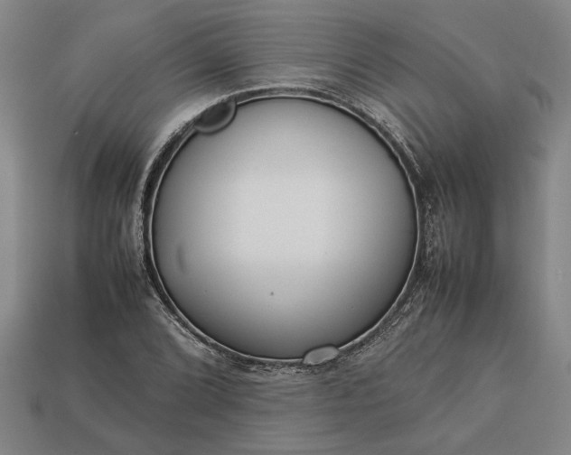 X0000113261072200909241517