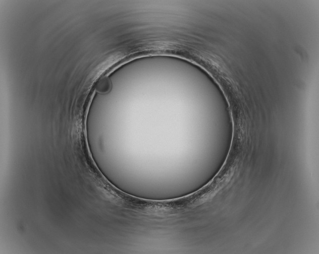 X0000113261073200909241517