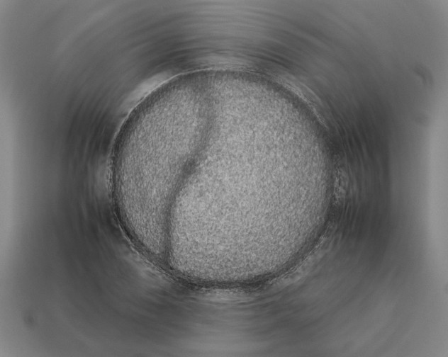 X0000113261074200909241517