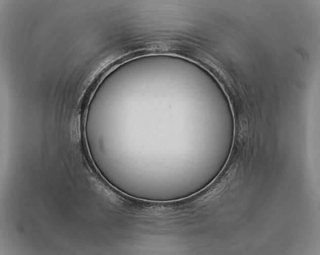 X0000113261075200909241517