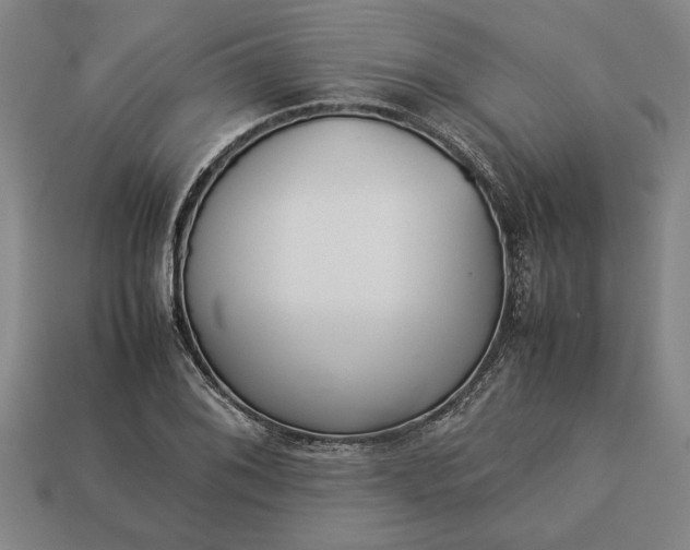 X0000113261076200909241517