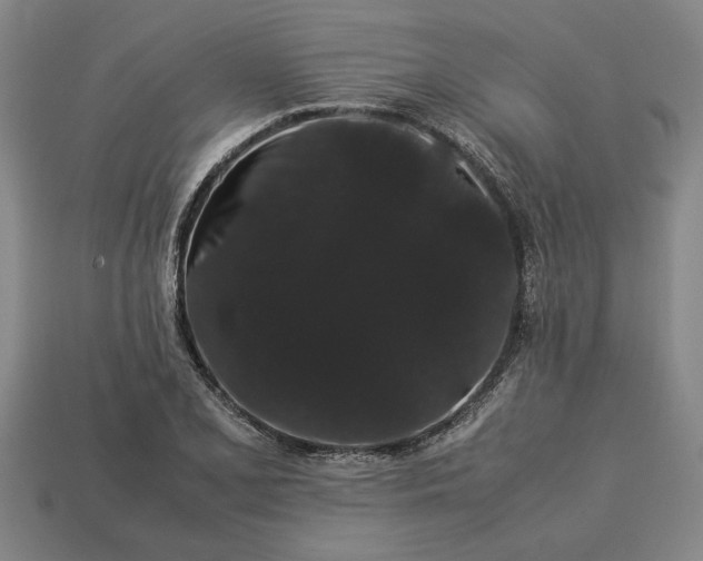 X0000113261077200909241517