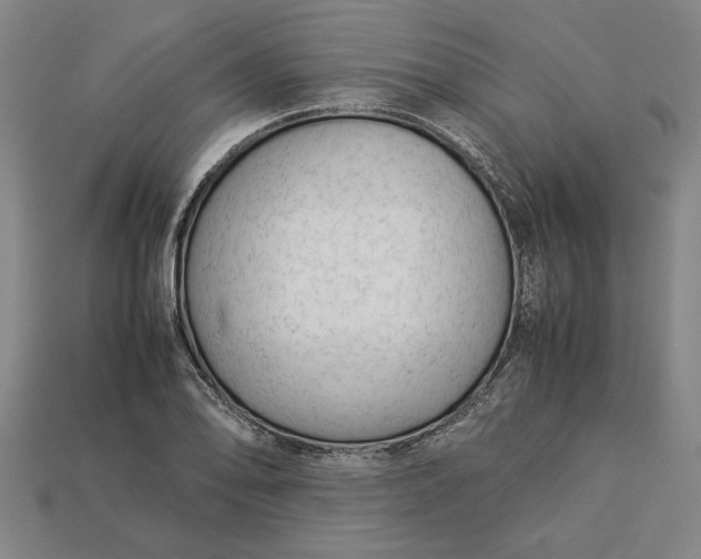 X0000113261078200909241517