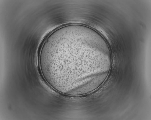 X0000113261080200909241517