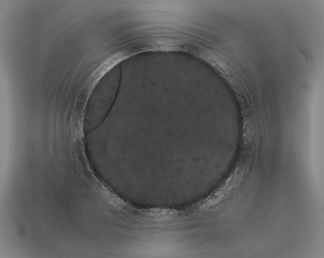 X0000113261081200909241517