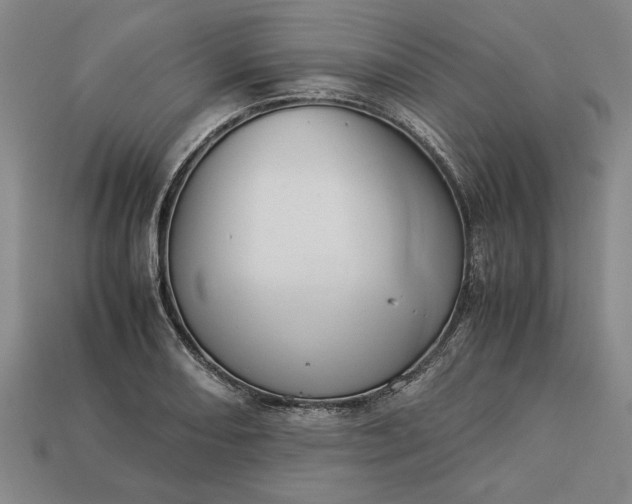 X0000113261082200909241517