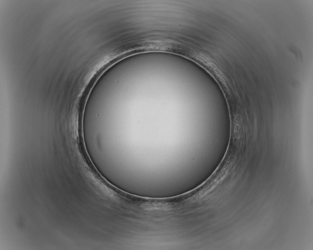 X0000113261083200909241517