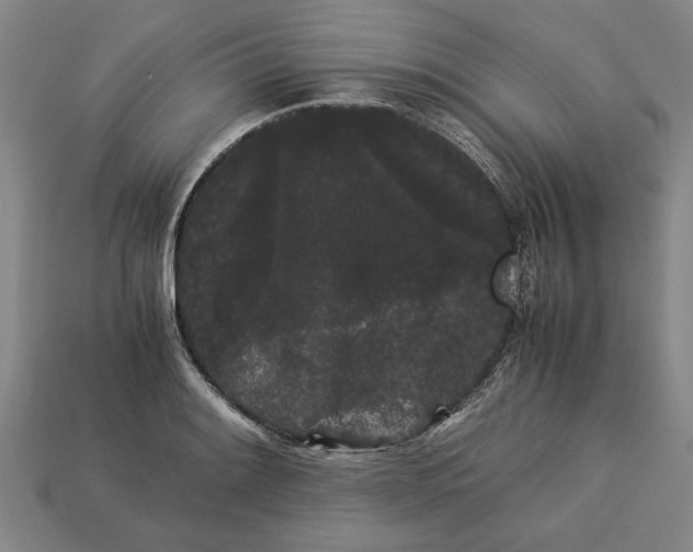 X0000113261084200909241517