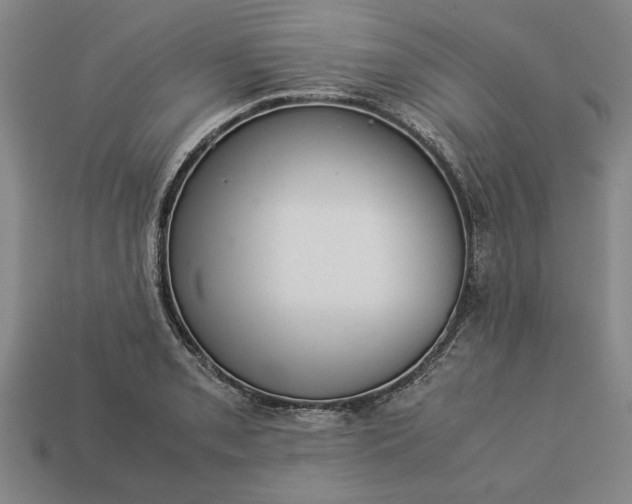 X0000113261085200909241517