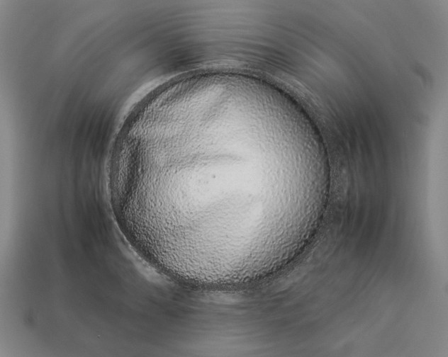 X0000113261086200909241517