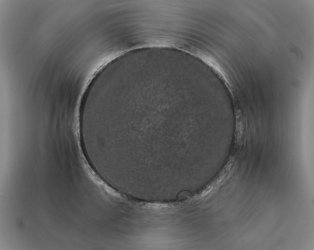 X0000113261088200909241517