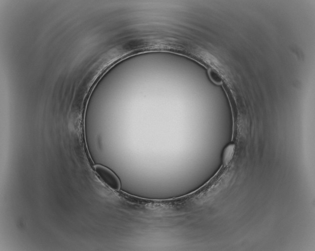 X0000113261089200909241517