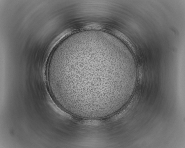 X0000113261090200909241517