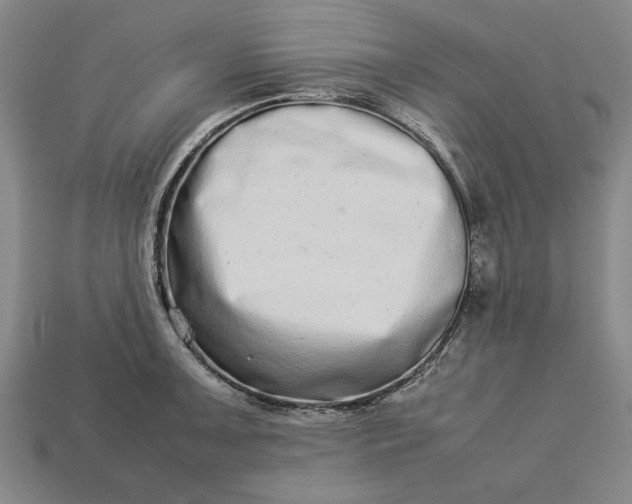 X0000113261091200909241517