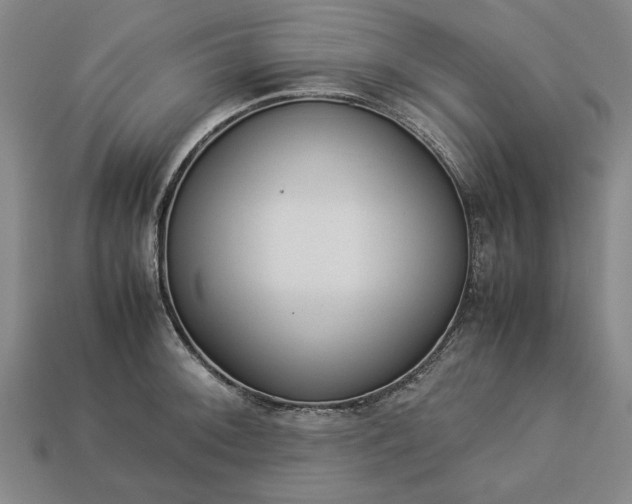 X0000113261092200909241517