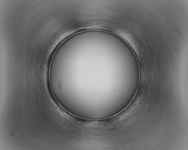 X0000113261093200909241517