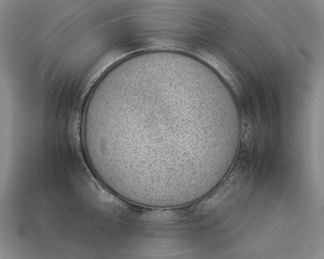 X0000113261094200909241517