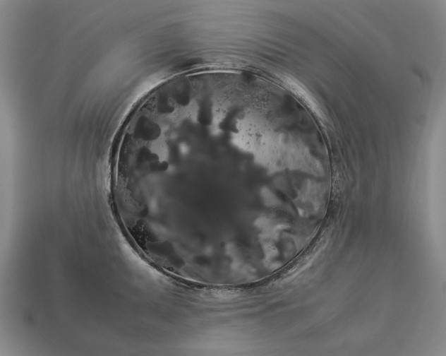 X0000113261095200909241517