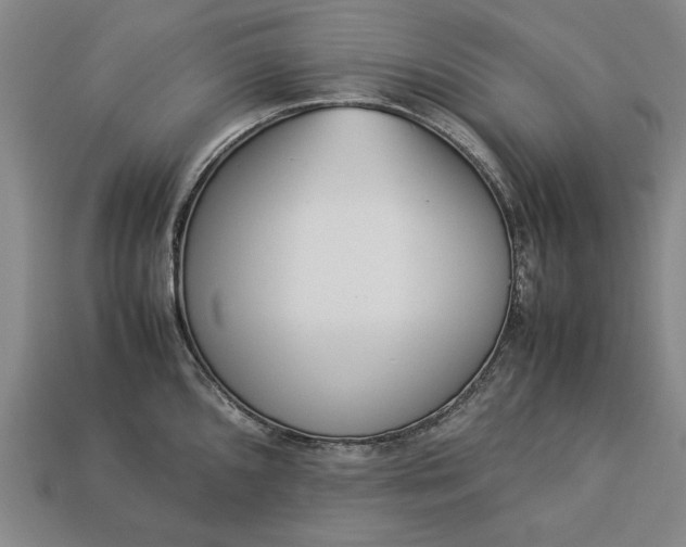 X0000113261096200909241517