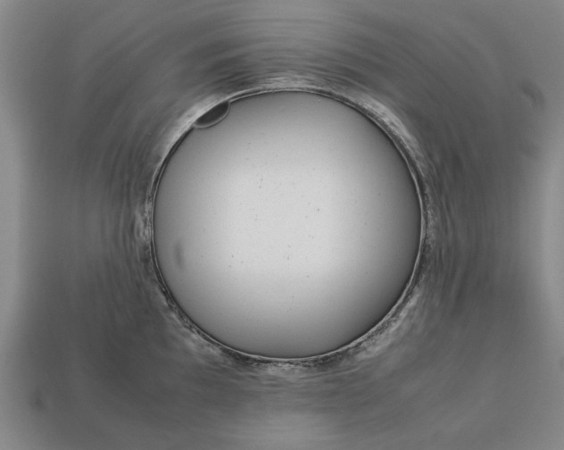 X0000113261097200909241517