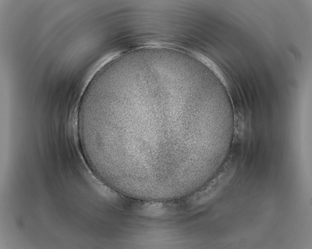 X0000113261098200909241517