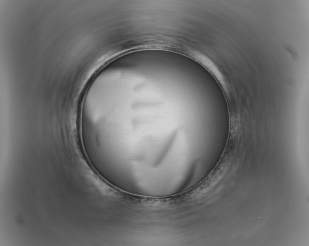 X0000113261099200909241517