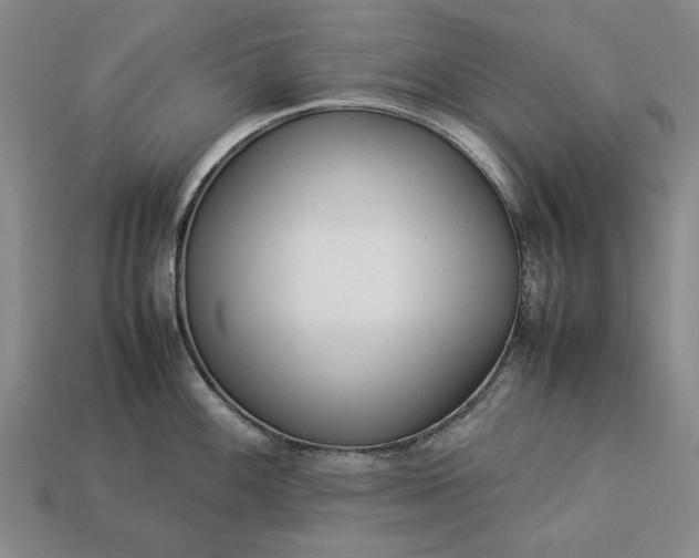 X0000113261100200909241517