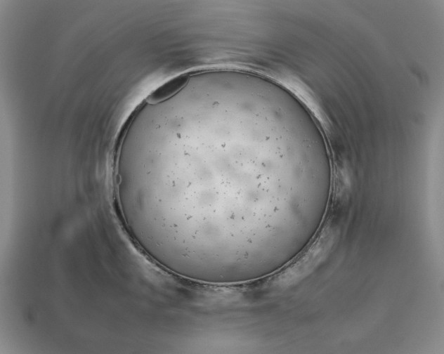 X0000113261101200909241517