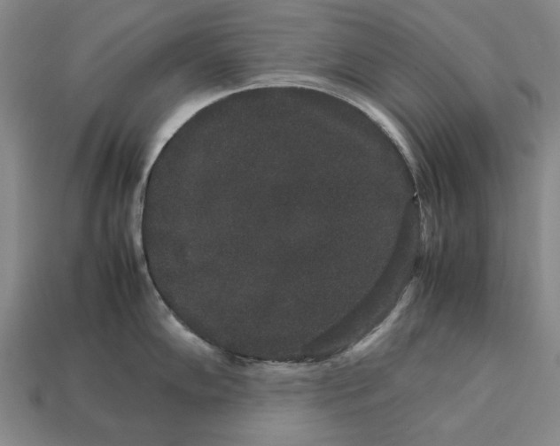 X0000113261102200909241517