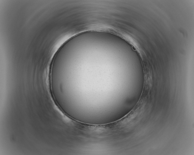 X0000113261103200909241517