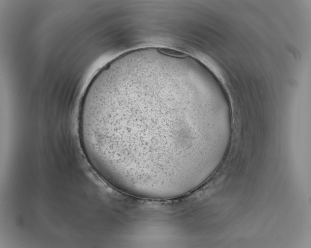 X0000113261104200909241517