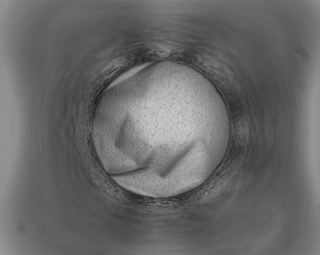 X0000113261105200909241516