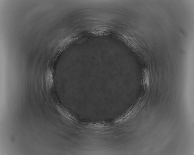 X0000113261106200909241516