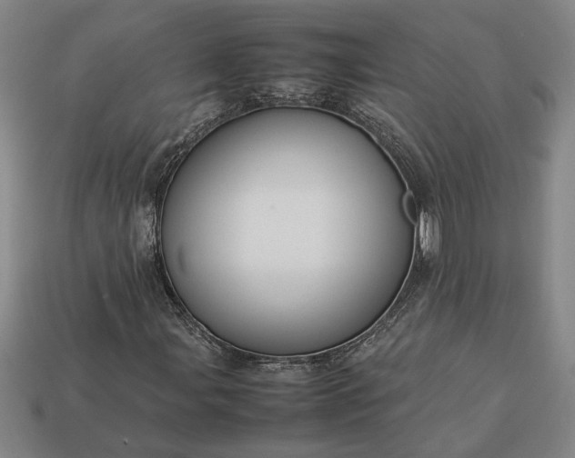 X0000113261107200909241516