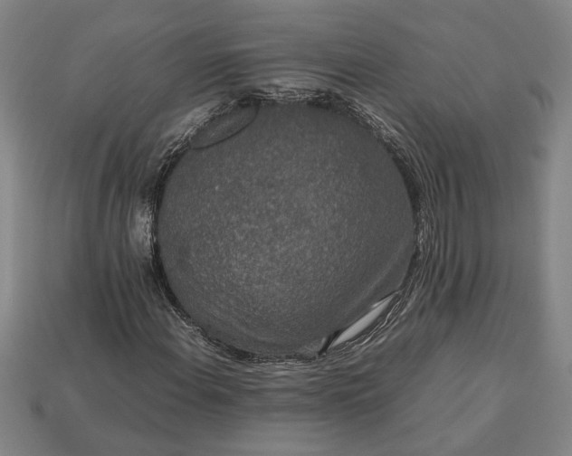 X0000113261108200909241517