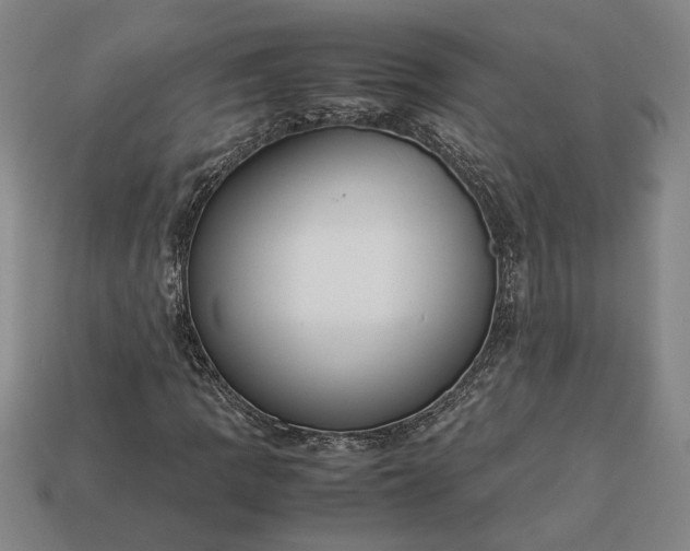 X0000113261109200909241517