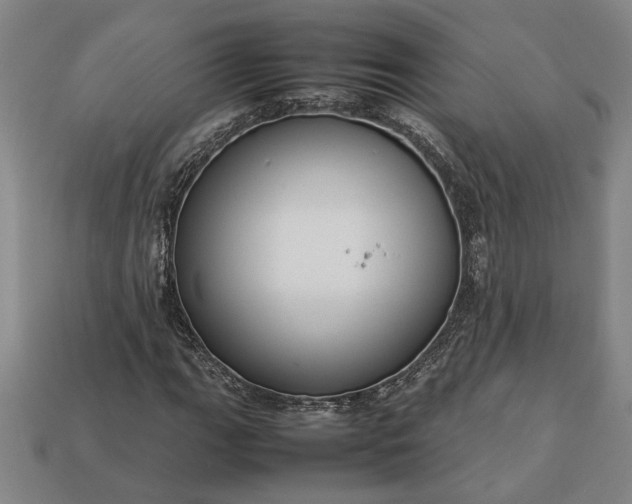 X0000113261111200909241517