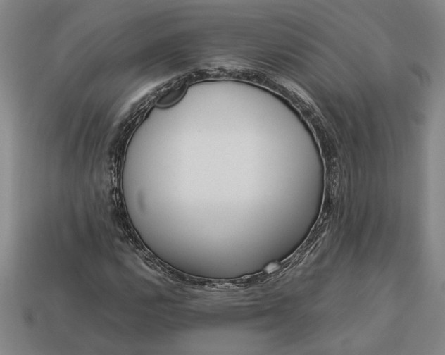 X0000113261112200909241517