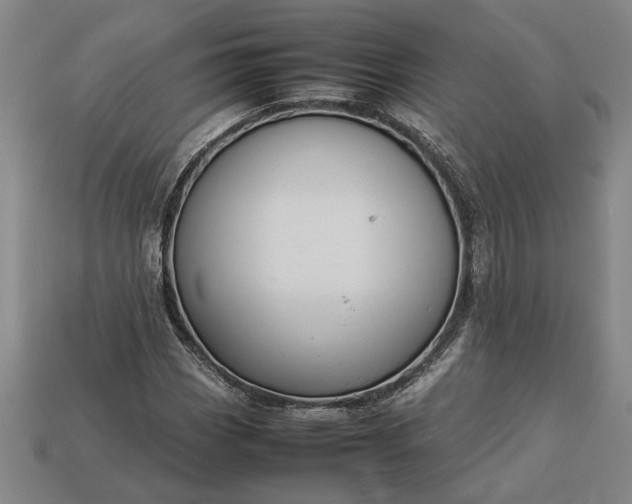 X0000113261113200909241517