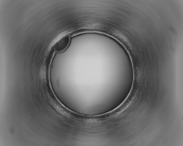 X0000113261114200909241517