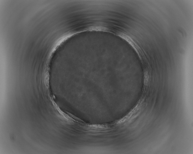 X0000113261115200909241517