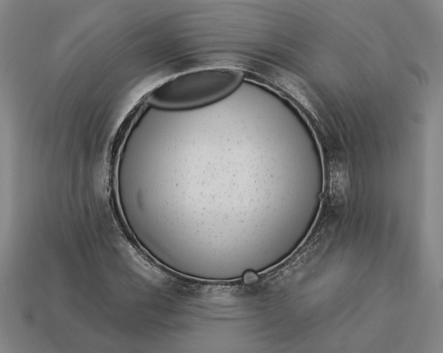 X0000113261116200909241517