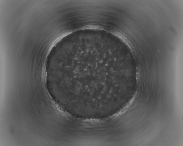 X0000113261117200909241517