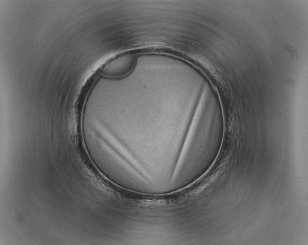 X0000113261118200909241517