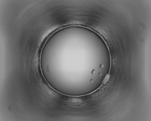 X0000113261119200909241517