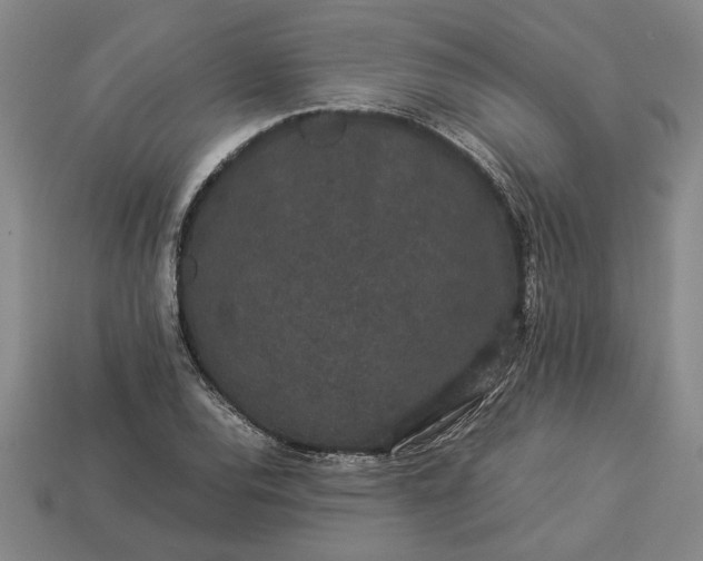 X0000113261120200909241517